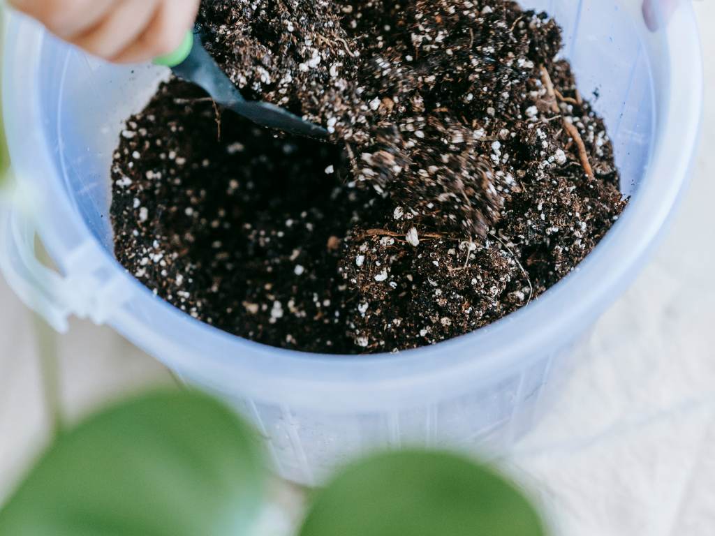 Discover What is the Best Dirt for Your Houseplant!