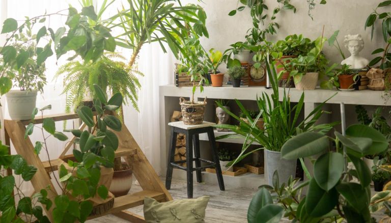 Top Indoor Garden Layout Ideas: Creating a Lush Oasis in Your Home