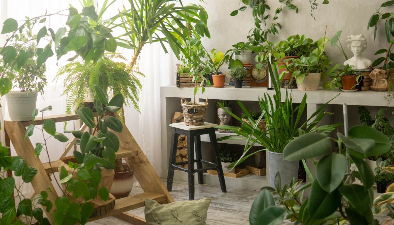 Top Indoor Garden Layout Ideas Creating a Lush Oasis in Your Home