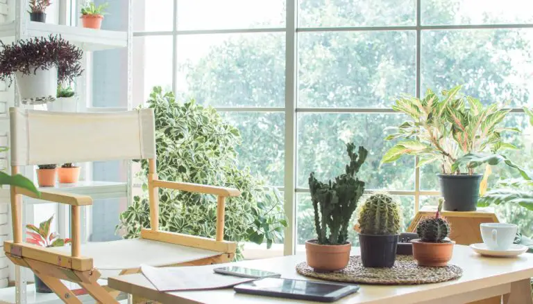 Ultimate Guide to Indoor Garden Design for Apartments: Creative Ideas for Small Spaces