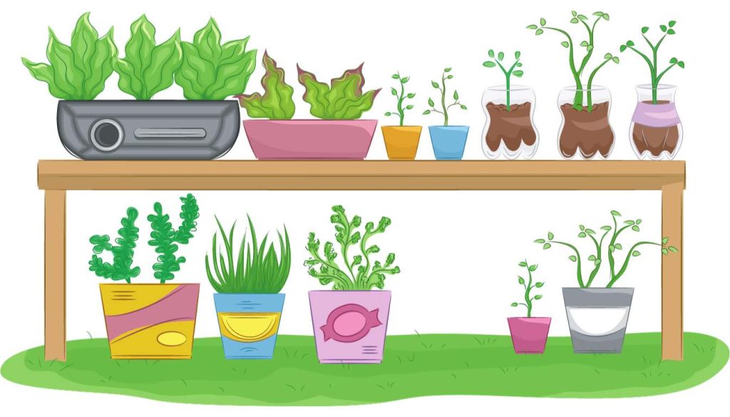 Container Flower Gardening for Beginners Guide