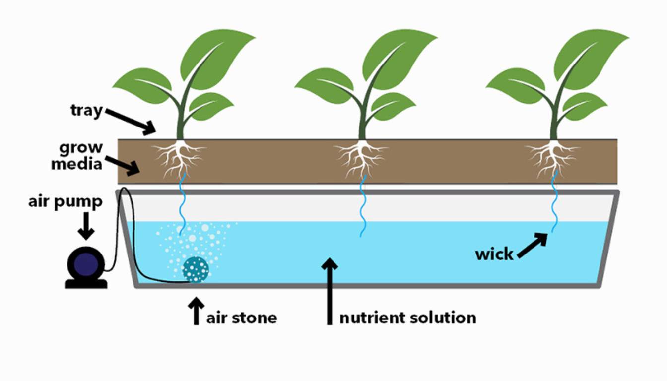 How Does a Wick System Work? A Comprehensive Guide