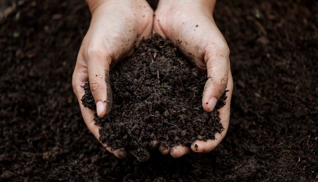 Mastering How to Retain Moisture in Soil A Quick Guide