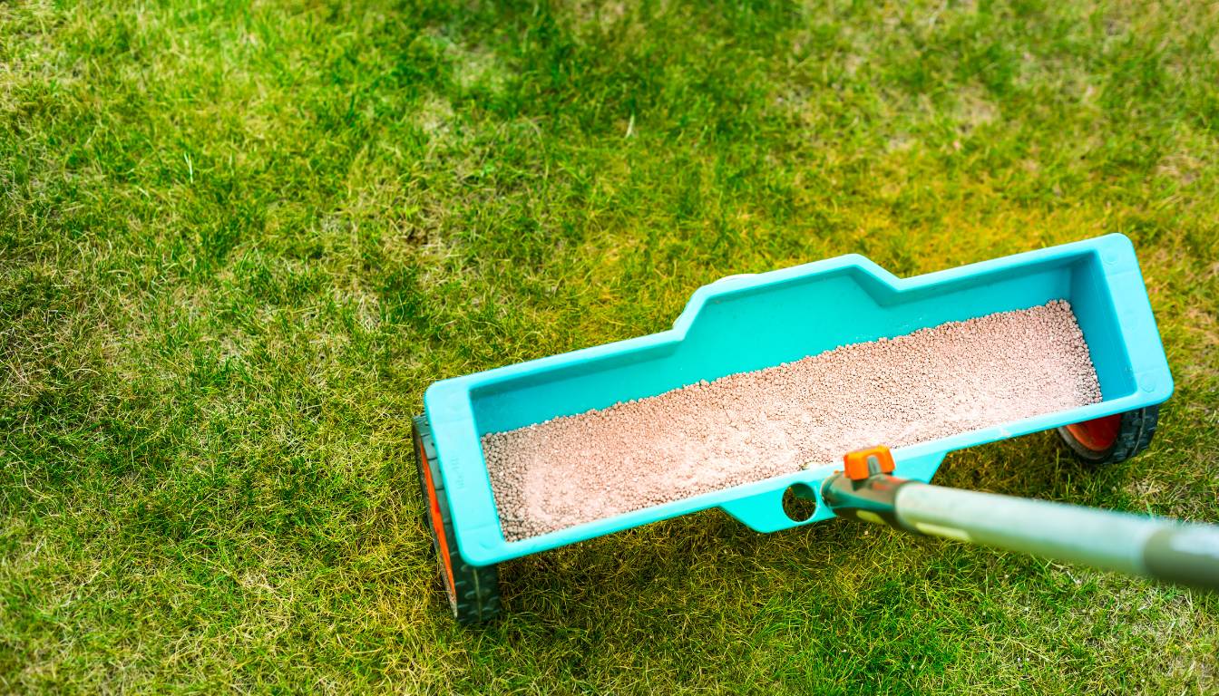 7 Best Phosphorus Fertilizer for Lawns Reviewed Top Picks