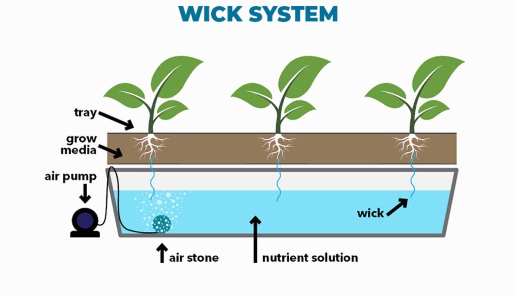 Exploring Wick Hydroponic System Advantages and Disadvantages