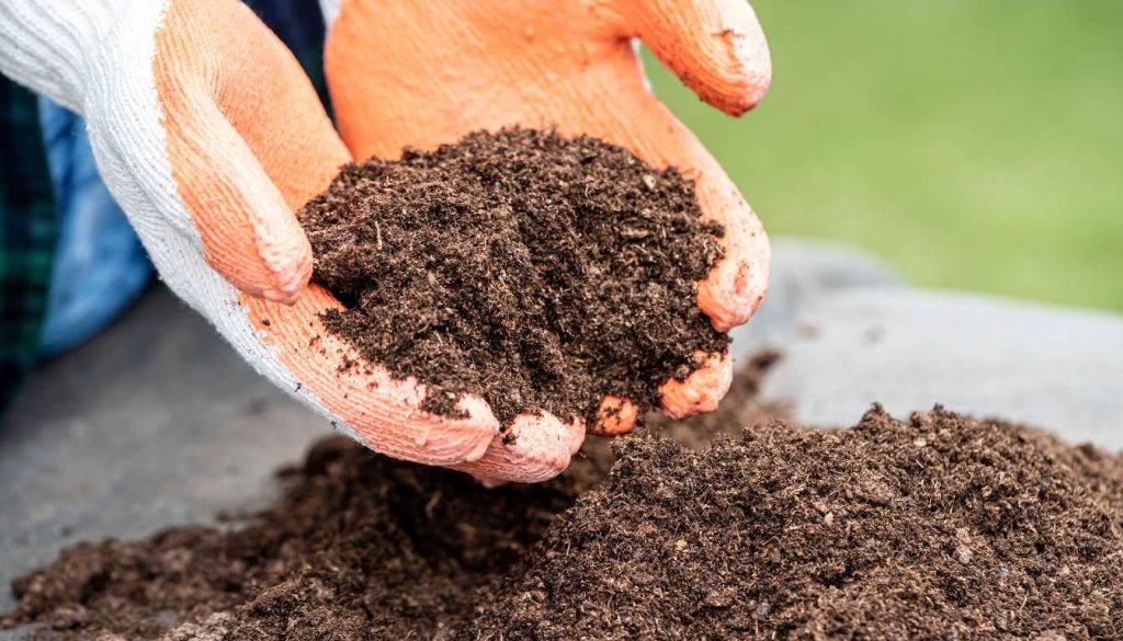 Is Potting Soil Toxic A Comprehensive Guide