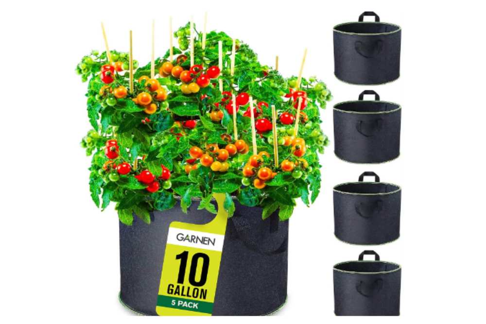 Best Size Grow Bag for Tomatoes