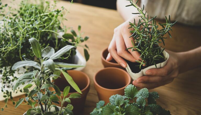 10 Creative DIY Indoor Herb Garden Ideas