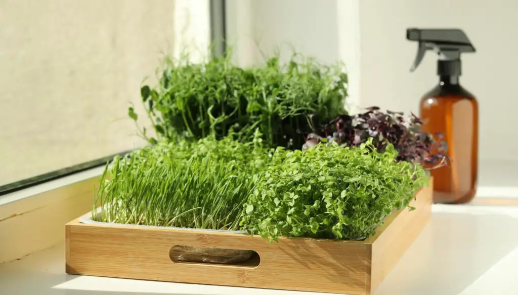 10 Creative DIY Indoor Herb Garden Ideas - Indoor Herb Garden in Wooden Crates