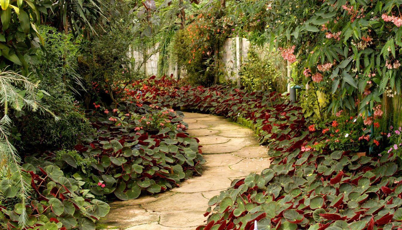 22 Easy and Cheap Walkway Ideas for a Charming Garden