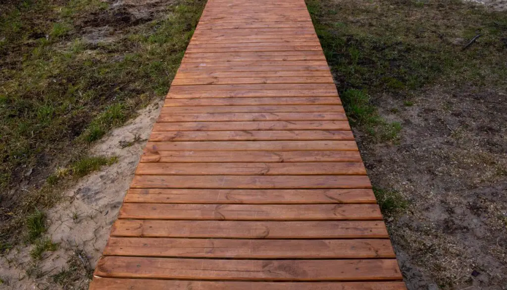 Boardwalk Path