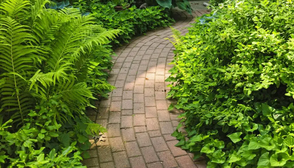 Brick Garden Pathway