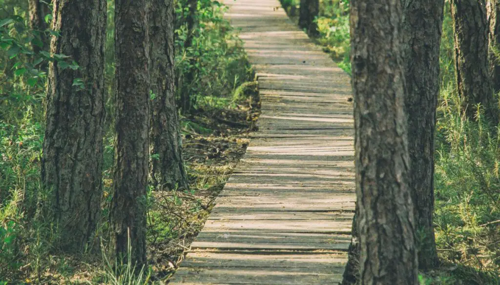 Wood Walkways