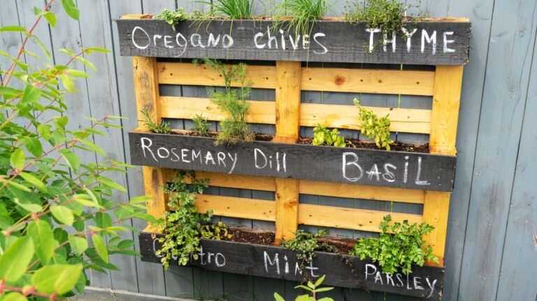 15 Ingenious Kitchen Garden Ideas to Cultivate Freshness Right at Home