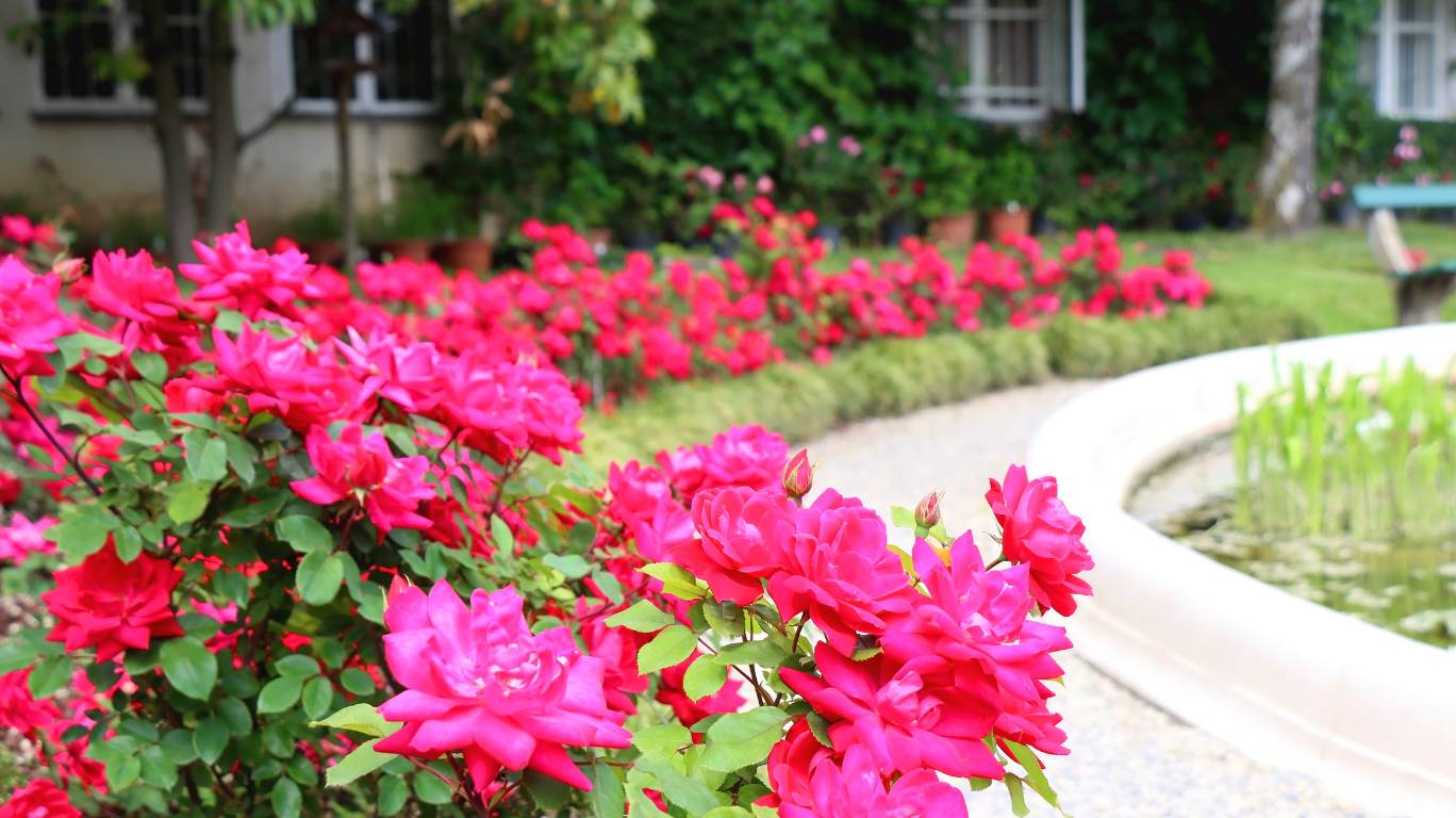18 Creative Ideas for Stunning Garden Borders