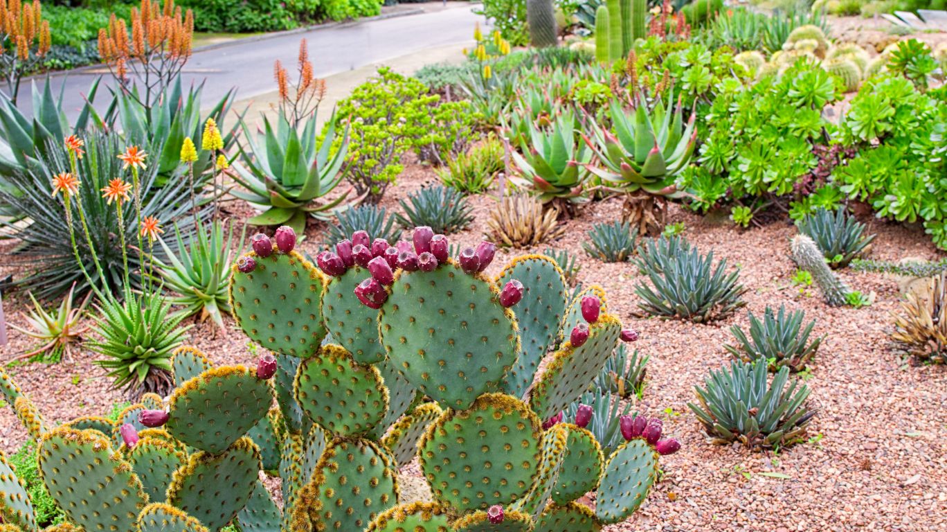 18 Creative Ideas For Stunning Garden Borders 