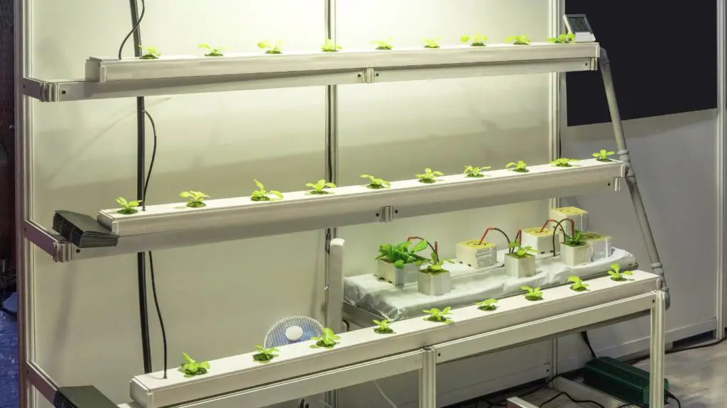 Indoor Hydroponic Systems