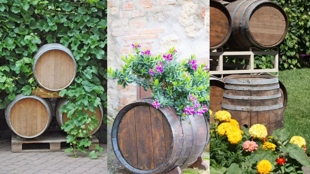 Repurposed Wine Barrels