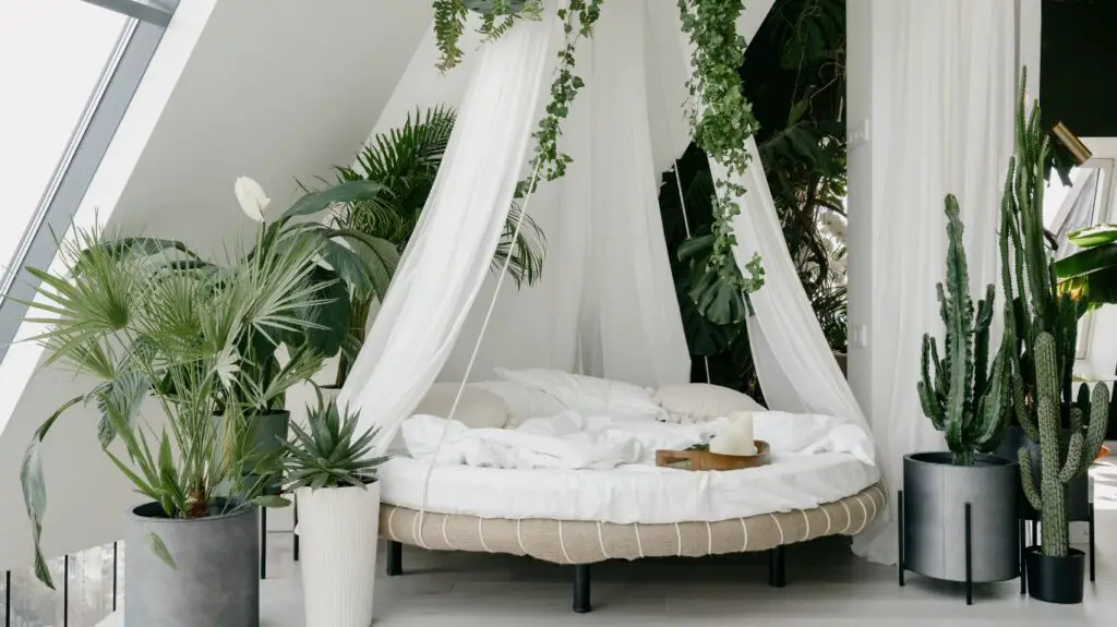 Boho Canopy Bed