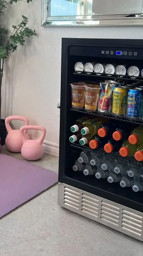 Mini Fridge Mini Fridge