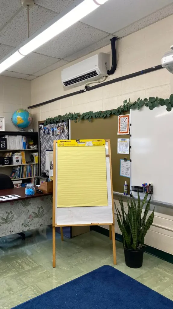 plants Back to School Decorations