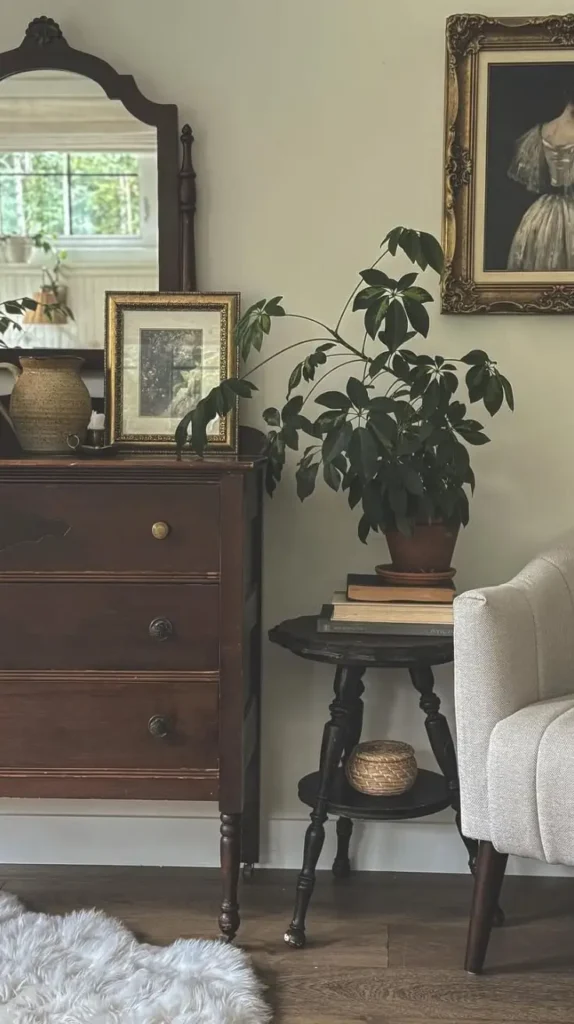 Bedroom Dresser Decor Plants