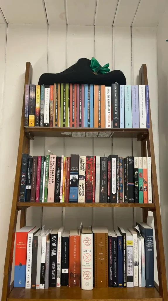 Book Shelf Ladder-Style Shelves