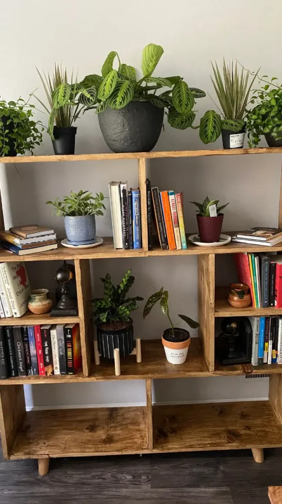 Book Shelf Rustic Wooden Shelves