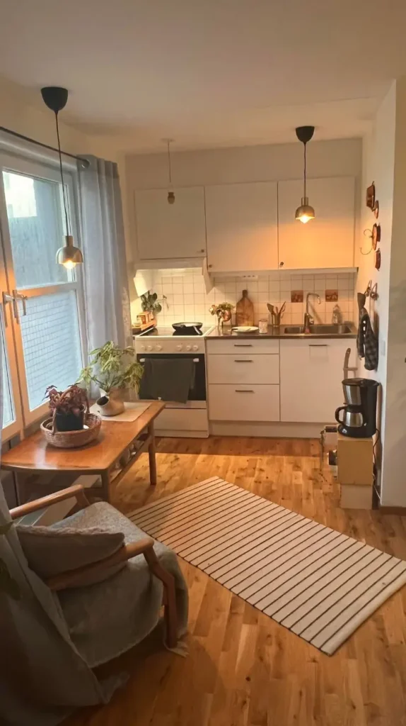 Mini Studio Apartment Kitchen and Dining