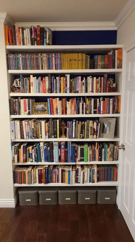 Wall Niche Book Shelves