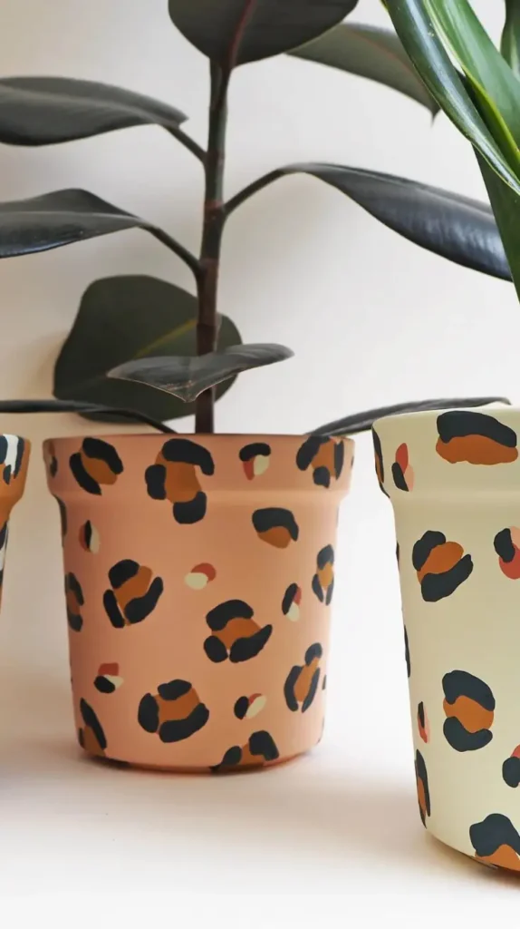 Cheetah Themed Planters and Greenery