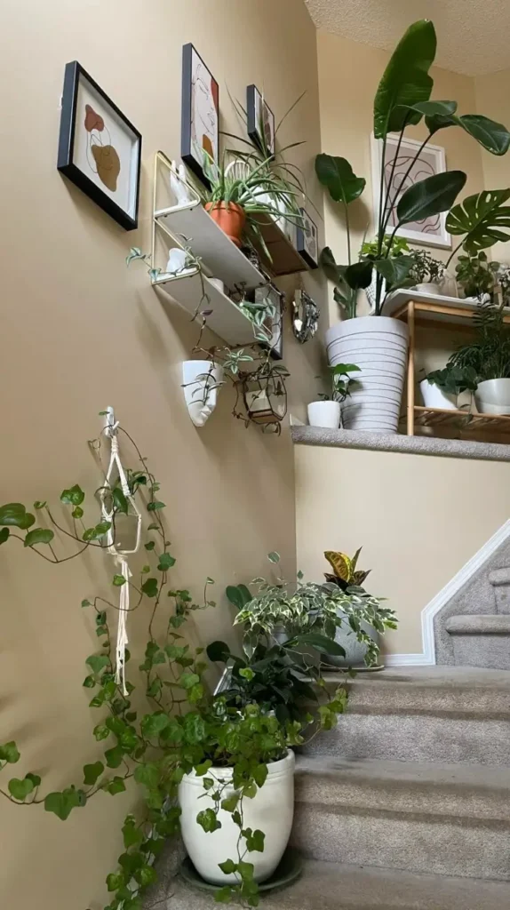 Staircase Wall Decor plants
