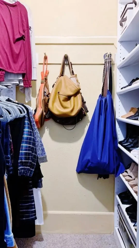 Closet Organization Hooks for Bags
