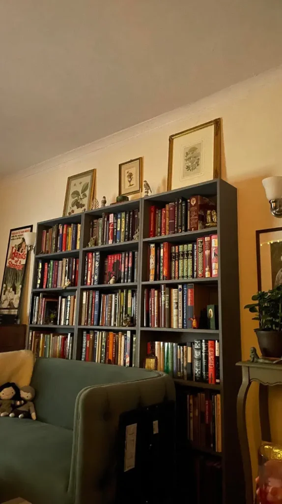 Living Room Bookshelves