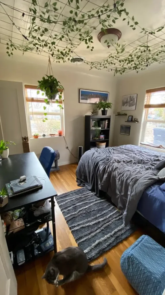 Bedroom Arrangement Ideas