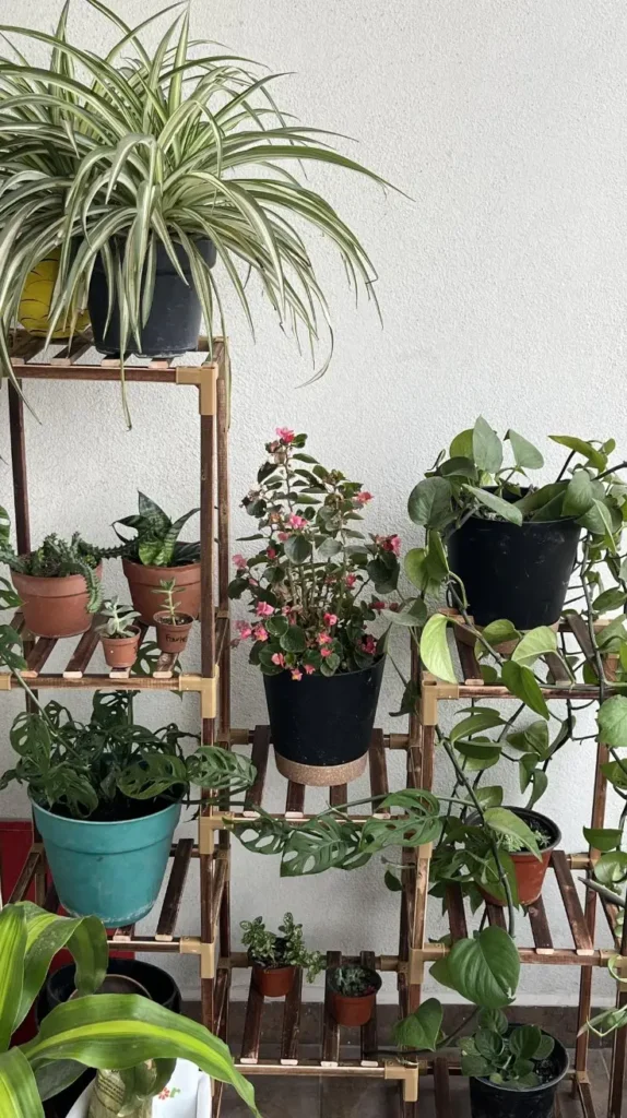 Spring Decor Ideas Indoor Plants Spring Decor Ideas Indoor Plants