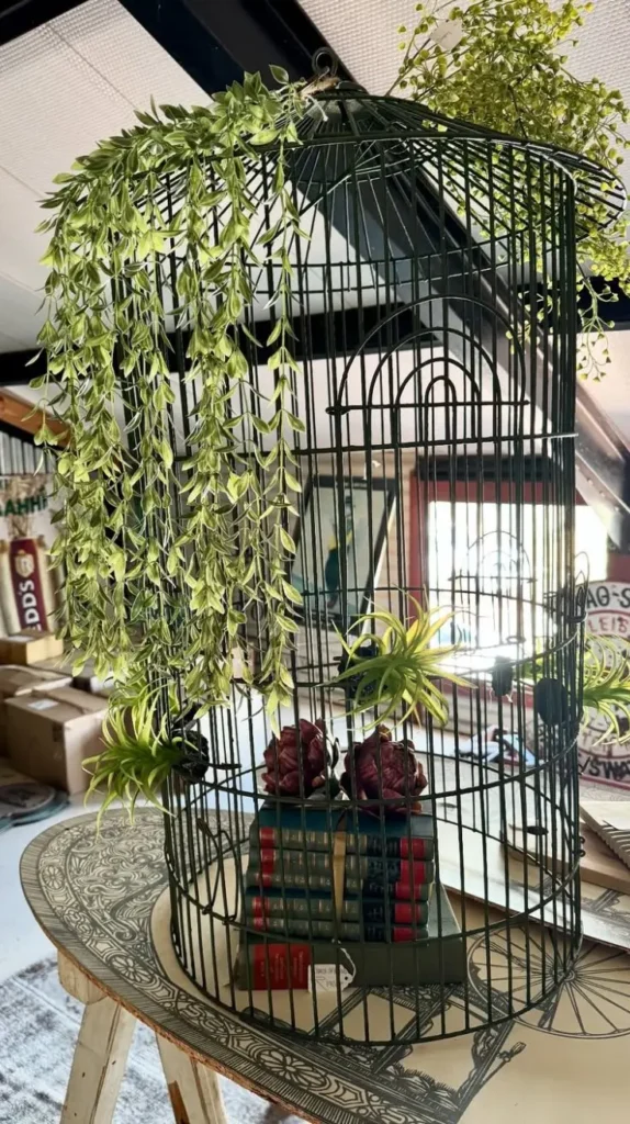 Birdcage Decor Ideas