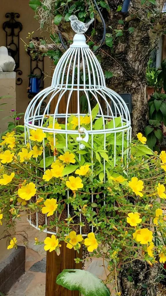Birdcage Decor Ideas