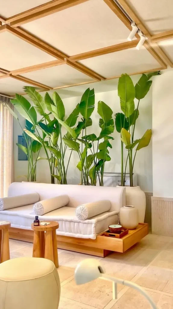 Latest Ceiling Designs for Living Room