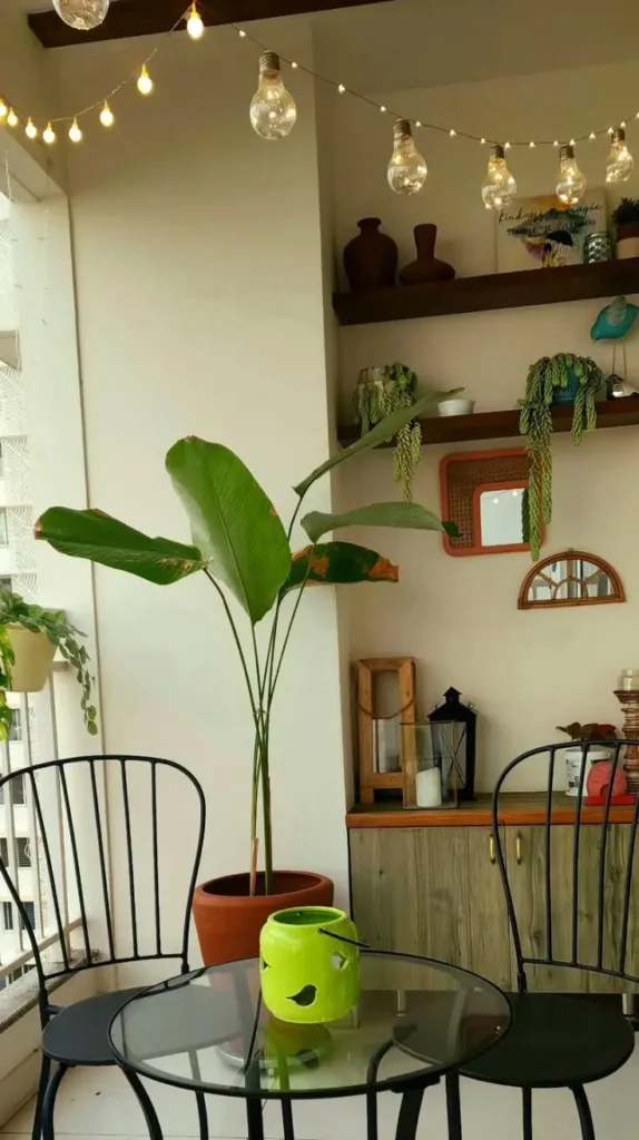 Plant Room Ideas Plant Room Ideas