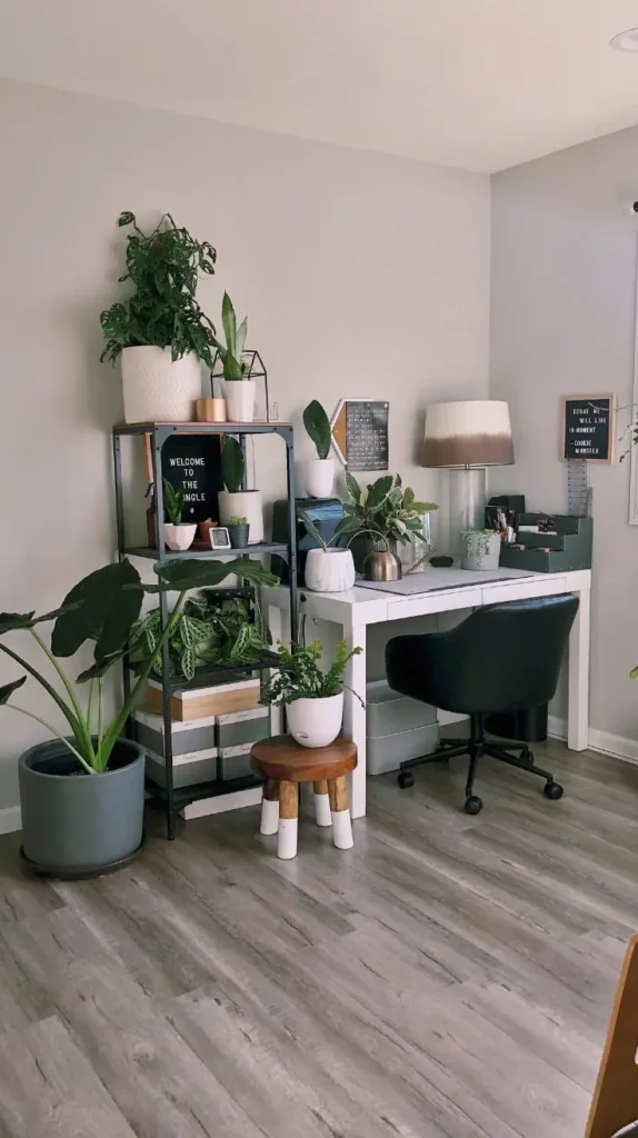 Plant Room Ideas Plant Room Ideas