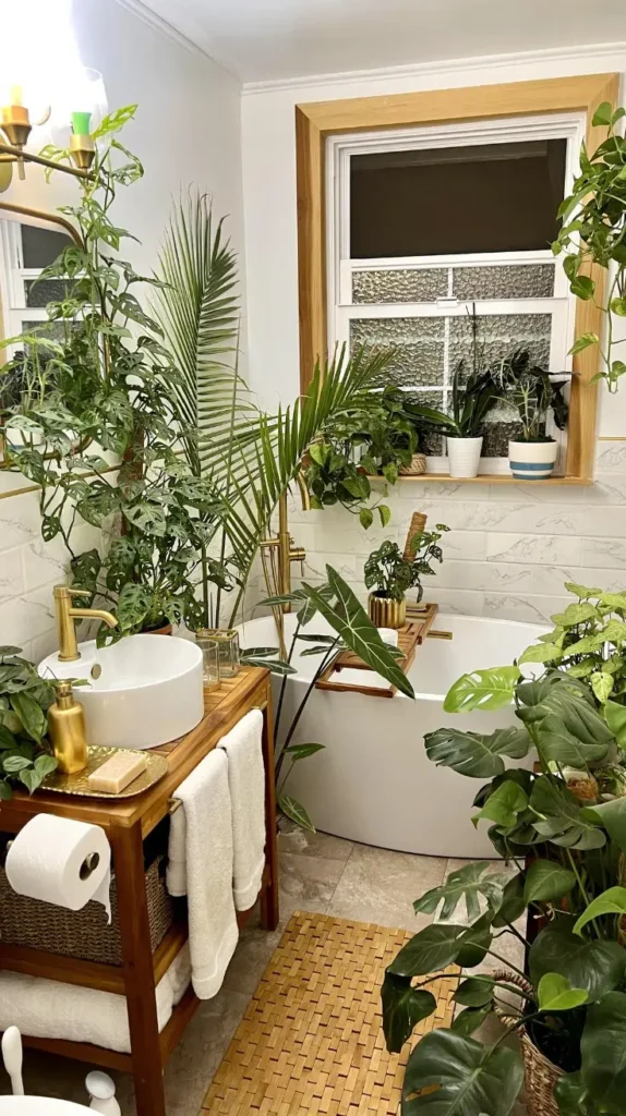 Plant Room Ideas Plant Room Ideas