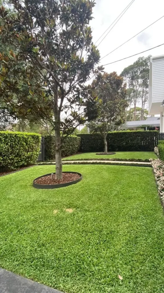 Front Yard Garden Ideas to Transform Your Home’s Curb Appeal

