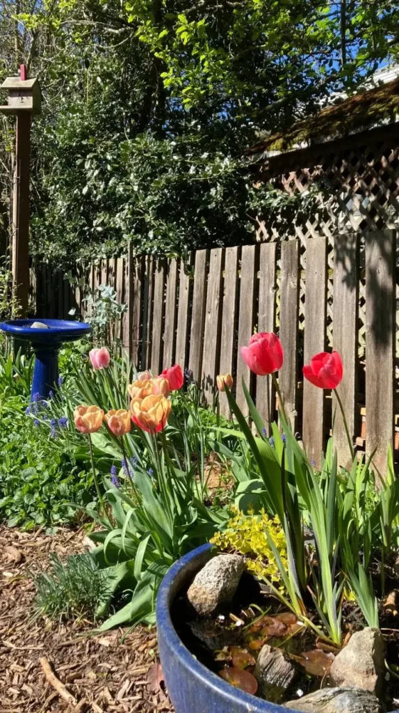 Front Yard Garden Ideas to Transform Your Home’s Curb Appeal