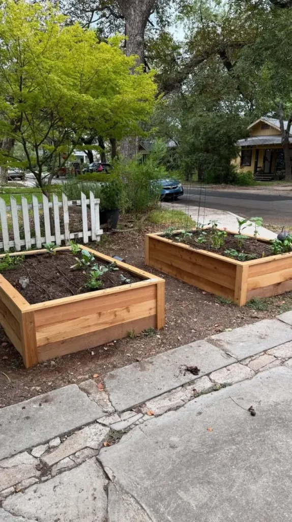 Front Yard Landscaping Ideas