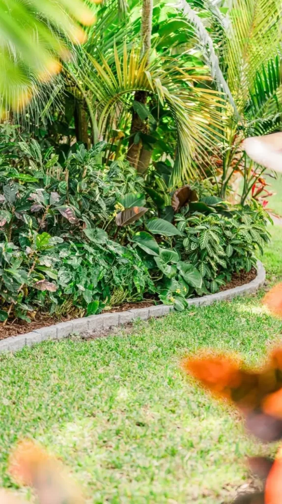 Front Yard Landscaping Ideas 