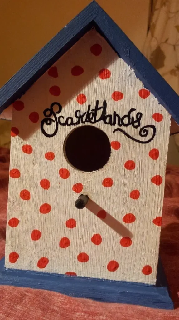 Cute Birdhouse Painting Ideas 