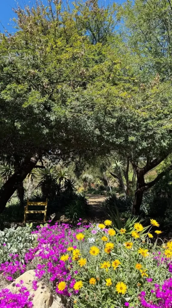 Secret Garden Ideas