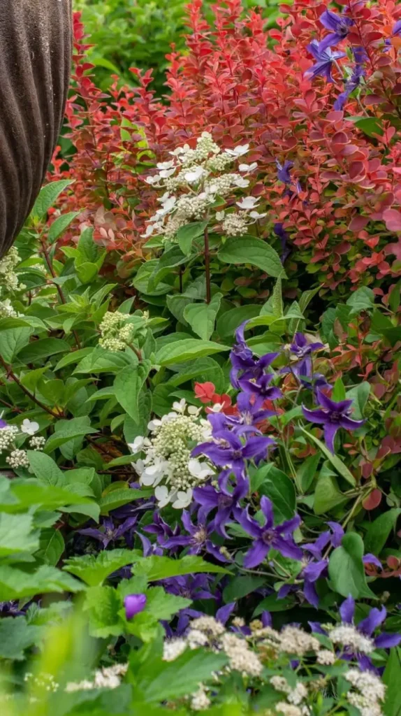 Secret Garden Ideas