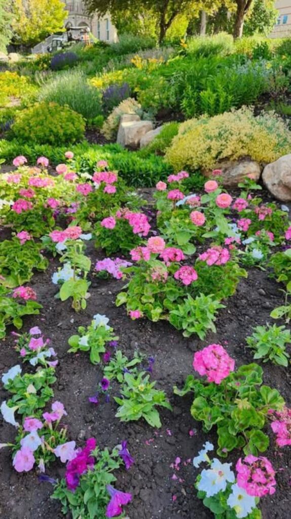 Flower Bed Ideas in Front of House
